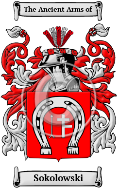 Sokolowski Family Crest/Coat of Arms