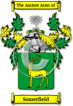 Somerfield Family Crest Download (jpg) Legacy Series - 150 DPI
