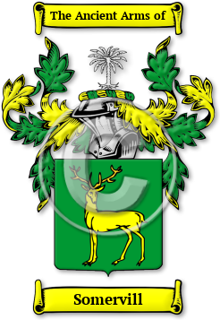Somervill Family Crest Download (jpg) Legacy Series - 150 DPI