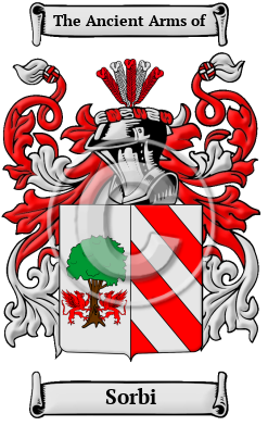 Sorbi Family Crest/Coat of Arms