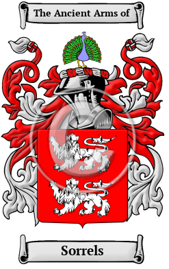 Sorrels Family Crest/Coat of Arms