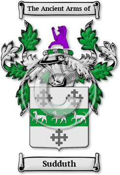 Sudduth Family Crest Download (jpg) Legacy Series - 150 DPI