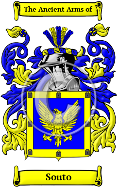 Souto Family Crest/Coat of Arms
