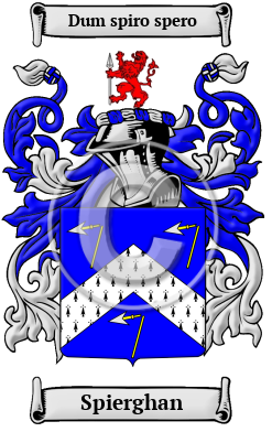 Spierghan Family Crest/Coat of Arms