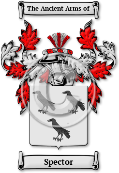 Spector Family Crest Download (jpg) Legacy Series - 150 DPI