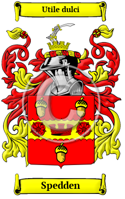 Spedden Family Crest/Coat of Arms