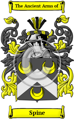 Spine Family Crest/Coat of Arms