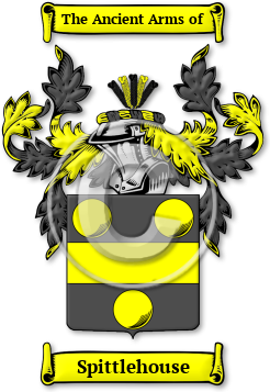 Spittlehouse Family Crest Download (JPG) Legacy Series - 600 DPI