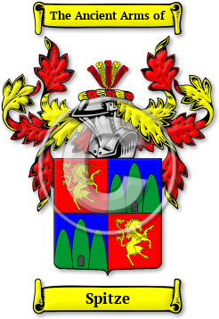 Spitze Family Crest Download (jpg) Legacy Series - 150 DPI