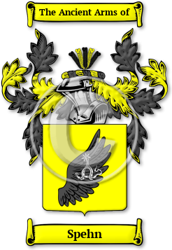 Spehn Family Crest Download (jpg) Legacy Series - 150 DPI