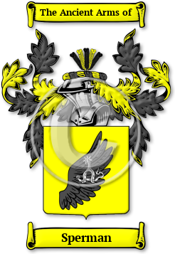 Sperman Family Crest Download (JPG) Legacy Series - 600 DPI