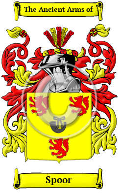 Spoor Family Crest/Coat of Arms