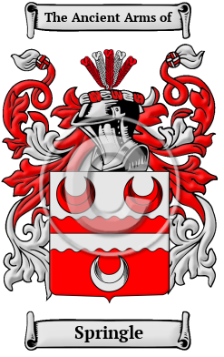 Springle Family Crest/Coat of Arms