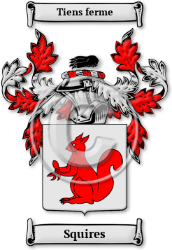 Squires Family Crest Download (jpg) Legacy Series - 150 DPI