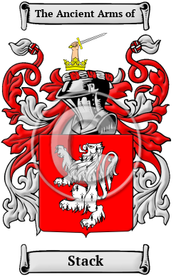 Stack Family Crest/Coat of Arms