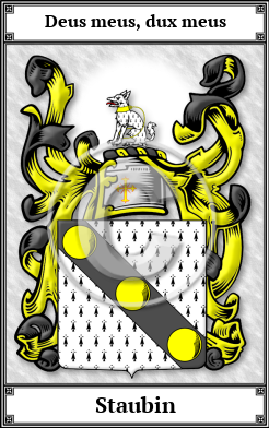 Staubin Family Crest Download (JPG) Book Plated - 600 DPI