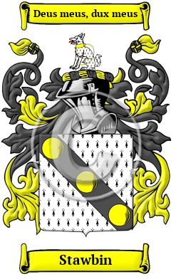 Stawbin Family Crest/Coat of Arms