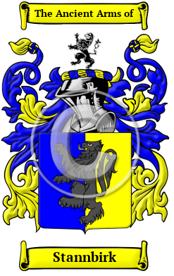 Stannbirk Family Crest/Coat of Arms