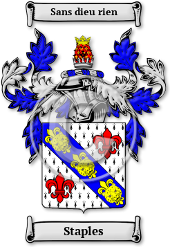 Staples Family Crest Download (JPG) Legacy Series - 600 DPI