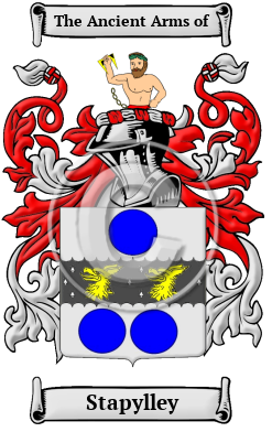Stapylley Family Crest/Coat of Arms