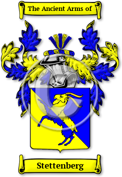 Stettenberg Family Crest Download (jpg) Legacy Series - 150 DPI