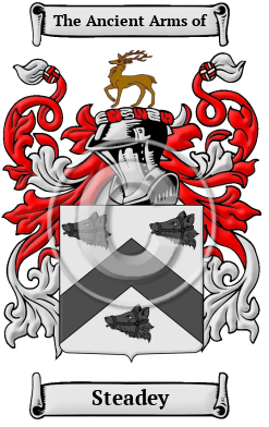 Steadey Family Crest/Coat of Arms