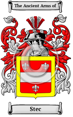 Stec Family Crest/Coat of Arms