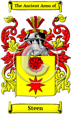 Steen Family Crest/Coat of Arms