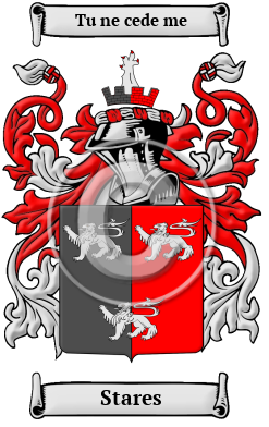 Stares Family Crest/Coat of Arms