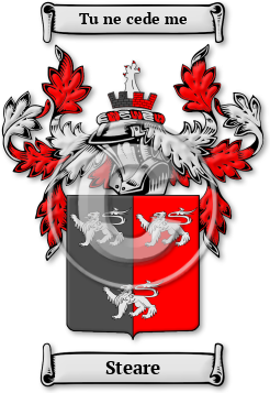 Steare Family Crest Download (JPG) Legacy Series - 600 DPI