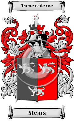 Stears Family Crest/Coat of Arms