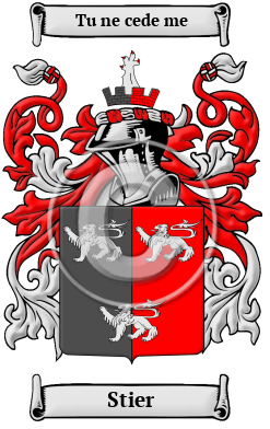 Stier Name Meaning, Family History, Family Crest & Coats of Arms