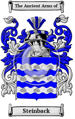 Steinback Family Crest/Coat of Arms