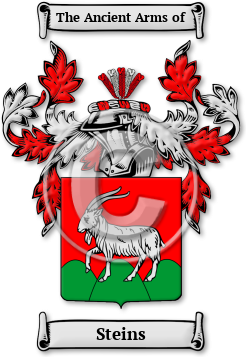 Steins Family Crest Download (JPG) Legacy Series - 600 DPI
