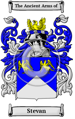Stevan Family Crest/Coat of Arms