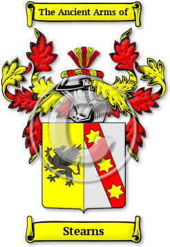 Stearns Family Crest Download (jpg) Legacy Series - 150 DPI