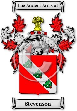 Stevenson Family Crest Download (jpg) Legacy Series - 150 DPI