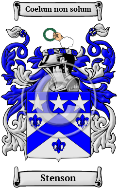 Stenson Family Crest/Coat of Arms