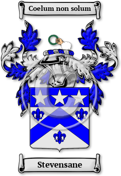 Stevensane Family Crest Download (jpg) Legacy Series - 150 DPI