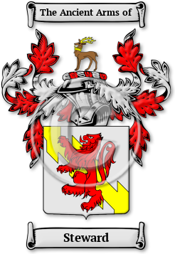 Steward Family Crest Download (JPG) Legacy Series - 600 DPI