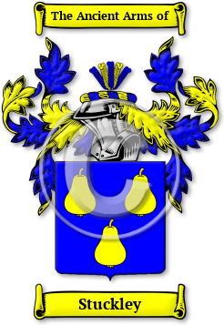 Stuckley Family Crest Download (jpg) Legacy Series - 150 DPI