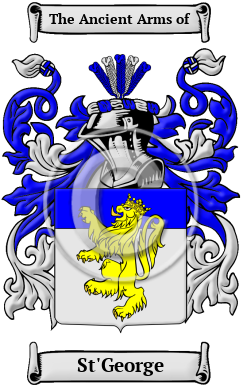 St'George Family Crest/Coat of Arms