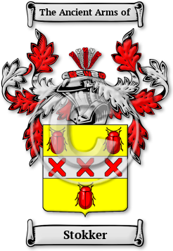 Stokker Family Crest Download (jpg) Legacy Series - 150 DPI