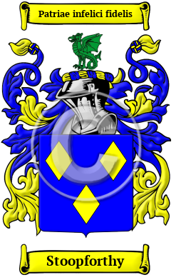 Stoopforthy Family Crest/Coat of Arms