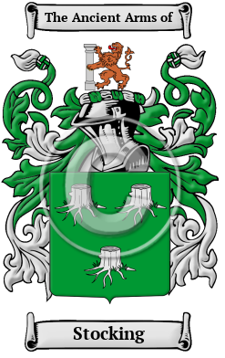 Stocking Family Crest/Coat of Arms