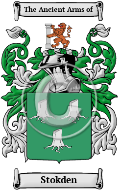 Stokden Family Crest/Coat of Arms