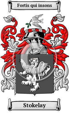 Stokelay Family Crest/Coat of Arms
