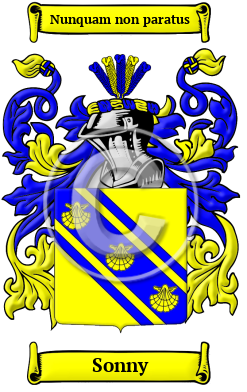 Sonny Family Crest/Coat of Arms