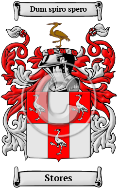 Stores Family Crest/Coat of Arms