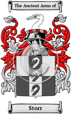 Storr Family Crest/Coat of Arms